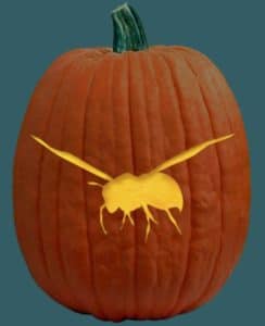 Bee Pumpkin Carving