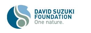 Entomophagy article david suzuki foundation