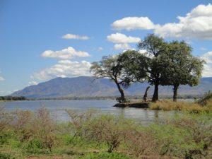 Zambia landscape edible insects