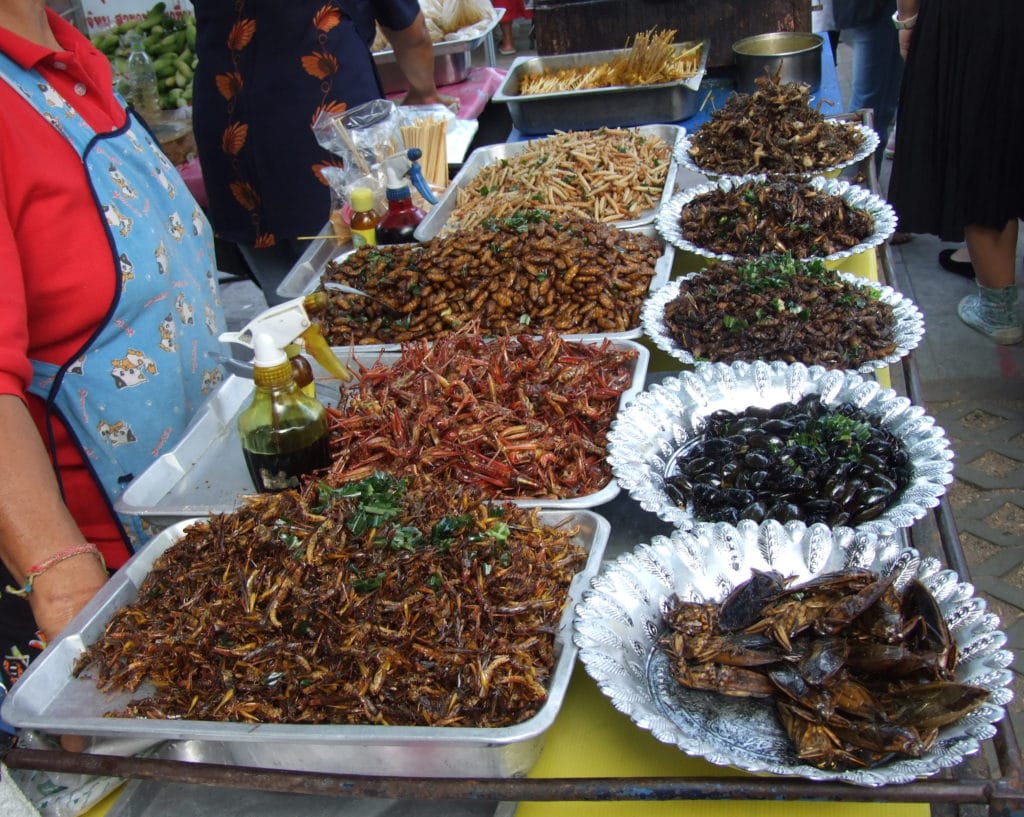 Image result for eating insects in thailand