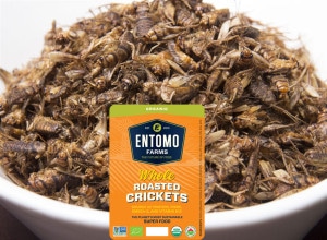 Entomo Farms, The future of foods, Sustainable, Food, Cricket Powder, Powder, Protein, Future, Crickets, Eating, Recipes, Roasted, Sustainability, Planet, Entomology , food, Water, Organic, Biologic, Delicious, Mealworms, Mealworm Powder, Mealworm Protein, feed