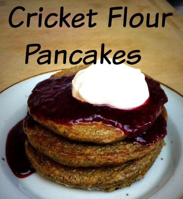 cricket_flour_pancakes