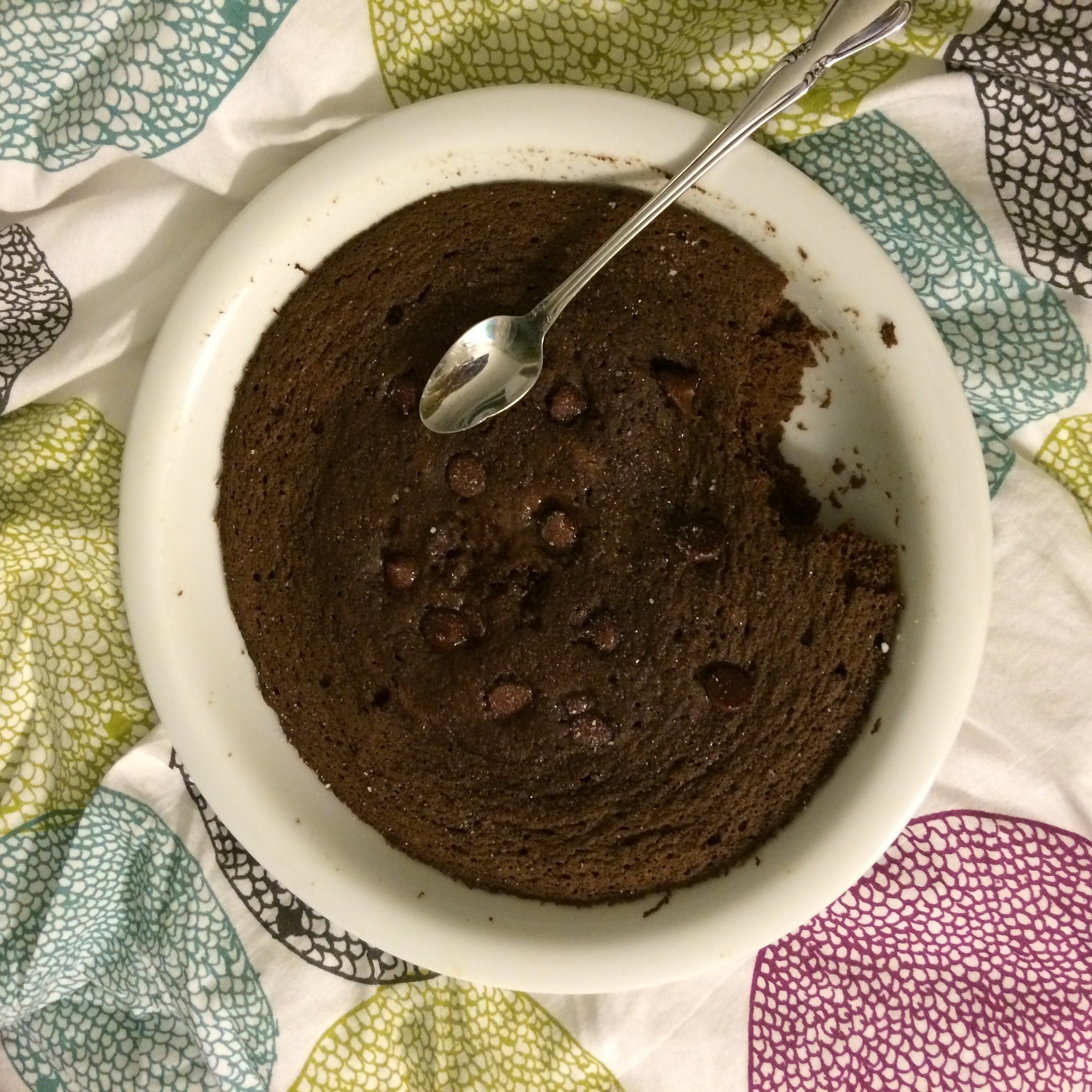 Chocolate Mug Cake With Cricket Powder Entomo Farms