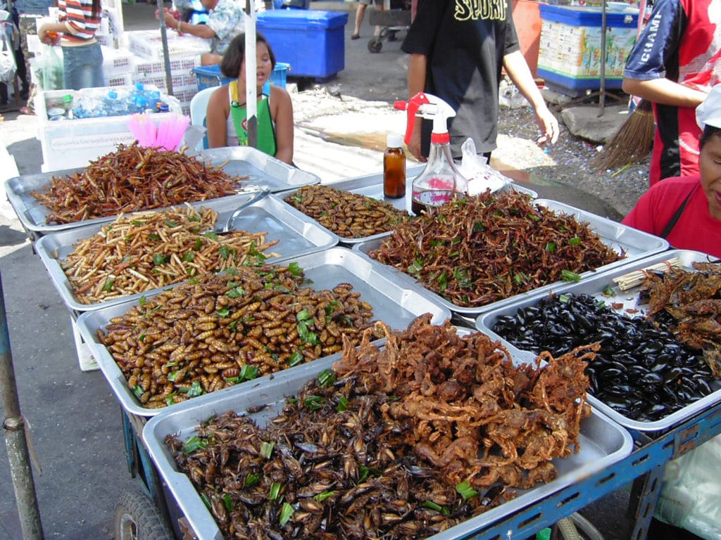 eating-insects-in-thailand-entomo-farms