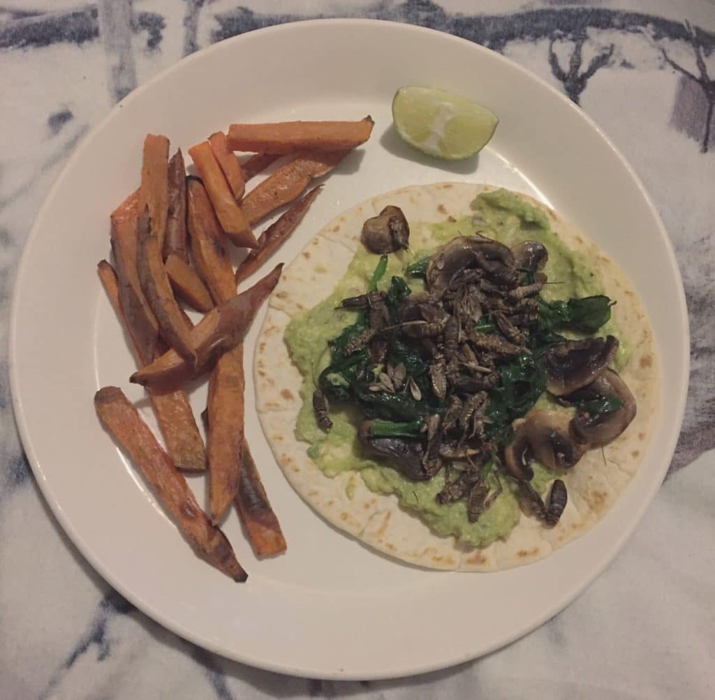 avocado and crickets on a warm tortilla with mushrooms