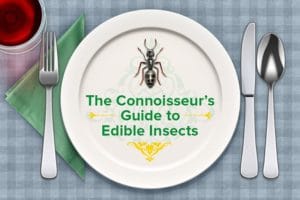 Eat Bugs with Western Exterminator
