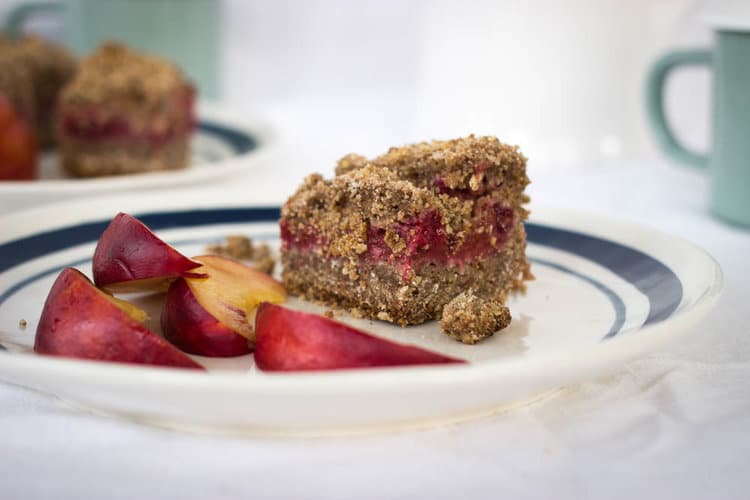 Healthy and delicious berry breakfast bars baked with cricket powder