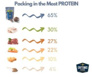 protein infographic