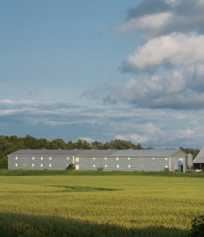 Photo of a farm building set in a field.