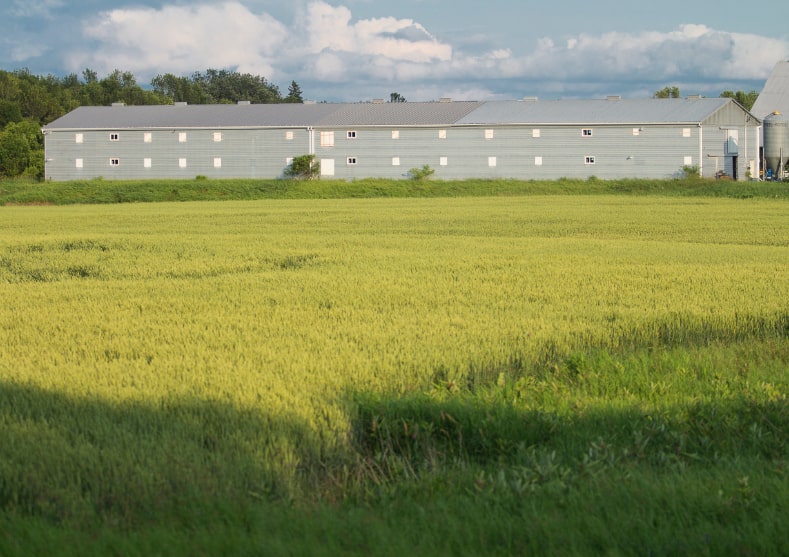 Photo of a farm building set in a field.