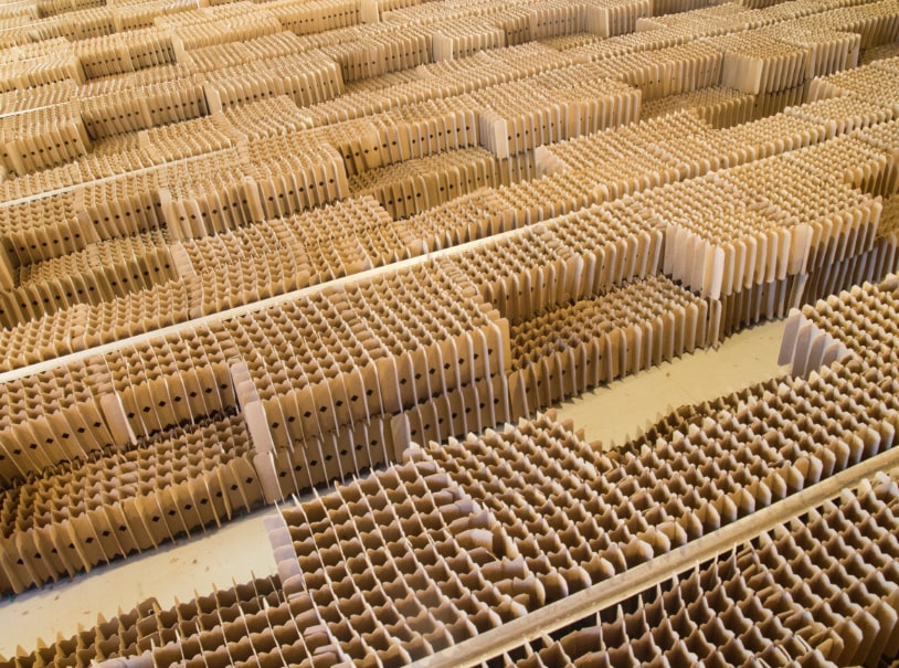 Photo of cardboard honeycombs used to farm crickets