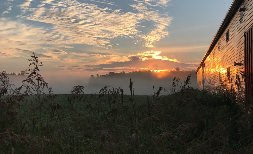 Photo of a farm field at sunset.